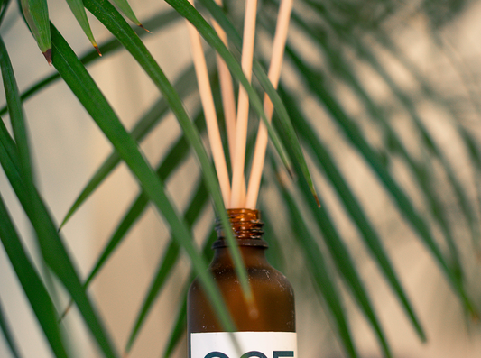 The Secret to Studio Harmony: Why Bi-Annual Office Aromas Matter
